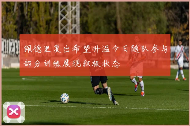佩德里复出希望升温今日随队参与部分训练展现积极状态